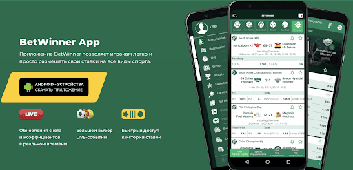 دليل شامل عن betwinner كل ما تحتاج معرفته للعب الآمن والذكي